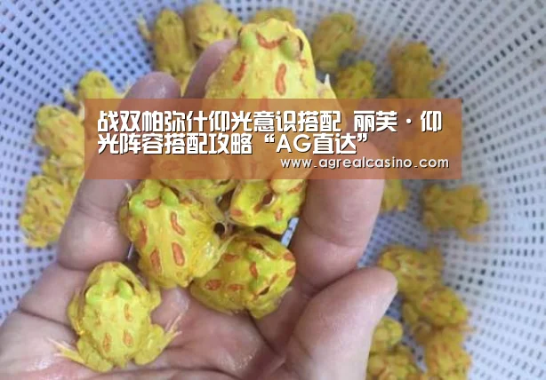 战双帕弥什仰光意识搭配 丽芙·仰光阵容搭配攻略“AG直达”(图4) AG综合