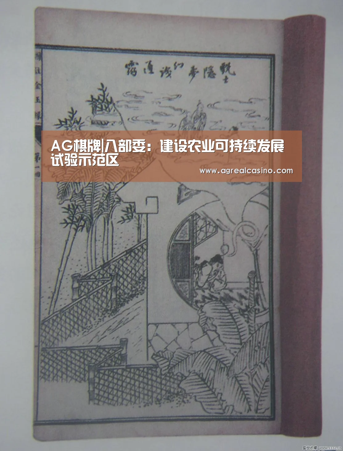 AG棋牌|八部委:建设农业可持续发展试验示范区(图1) AG直达