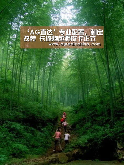 AG综合