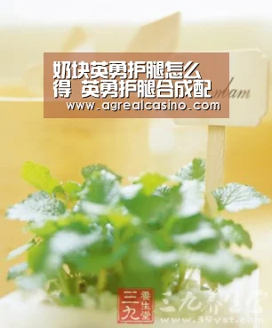 奶块英勇护腿怎么得 英勇护腿合成配方‘AG综合’(图1) AG捕鱼